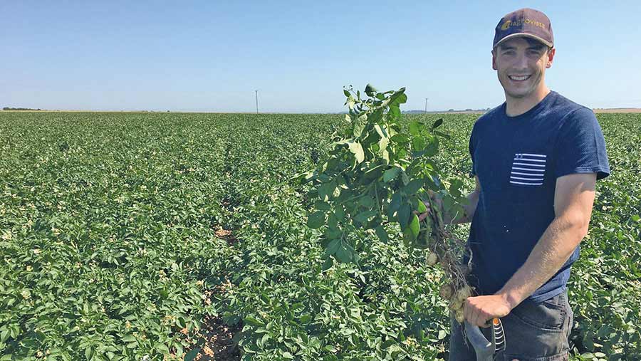 James Pick standing in a potato crop holding a potato plant