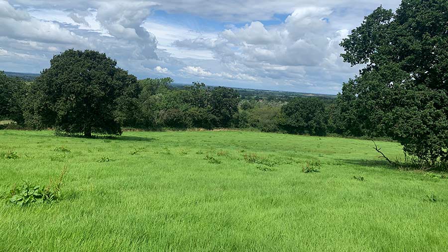 Land at Lyneham, Chippenham