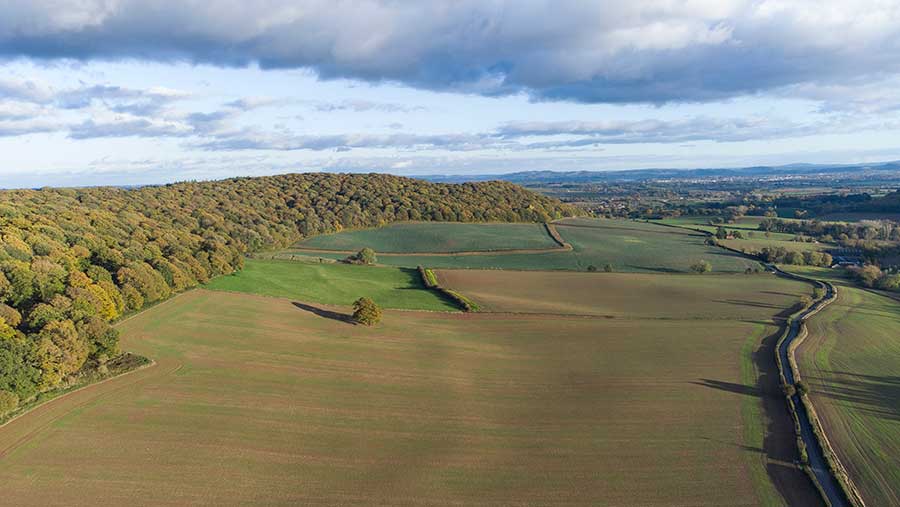 Coming soon: 291 acres of arable land and woodland in Herefordshire © Strutt & Parker 