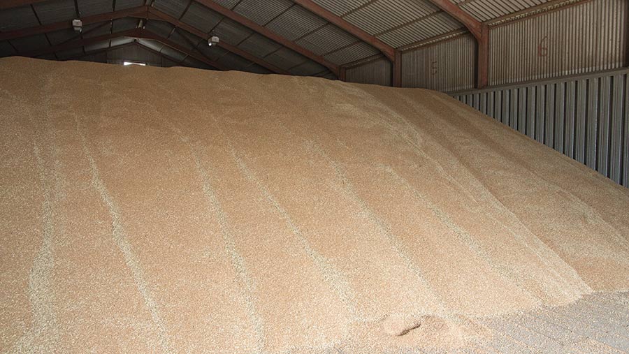 Falling wheat markets put pressure on grower margins - Farmers Weekly