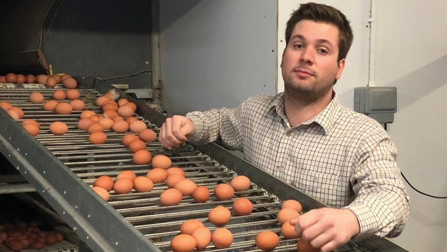 Man with eggs on a conveyor