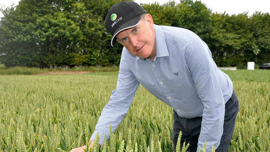 Mike Thornton in field of wheat