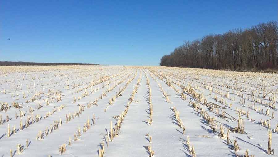 Ukrainian arable land under snow cover