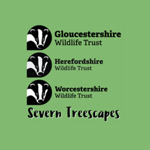 The Severn Treescapes logo