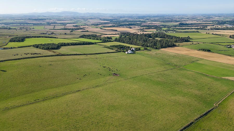 Aerial view of farm