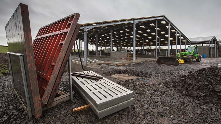 Cow shed construction