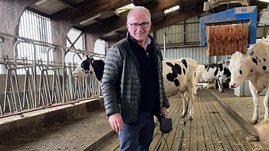 Man standing in a cattle shed