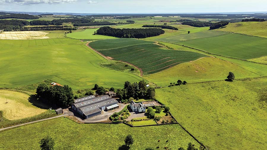 Aerial view of farm