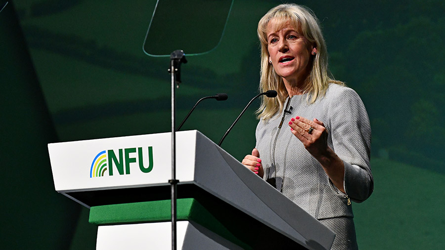 NFU Conference 2024 Parties challenged to deliver plans for British
