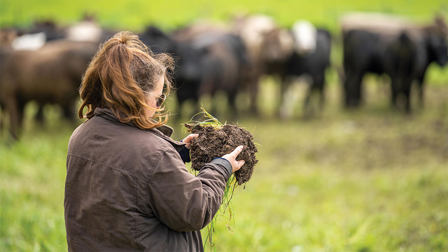 Woman holding soil in field with livestock in background