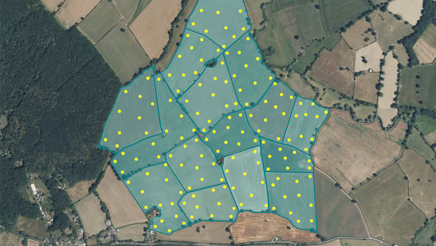 Diagram of farm scale sampling