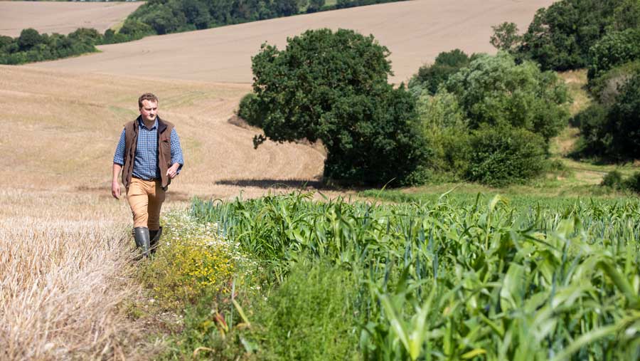 Top tips on de-risking combinable crops businesses - Farmers Weekly