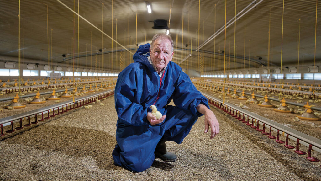 Nigel Edwards in poultry shed