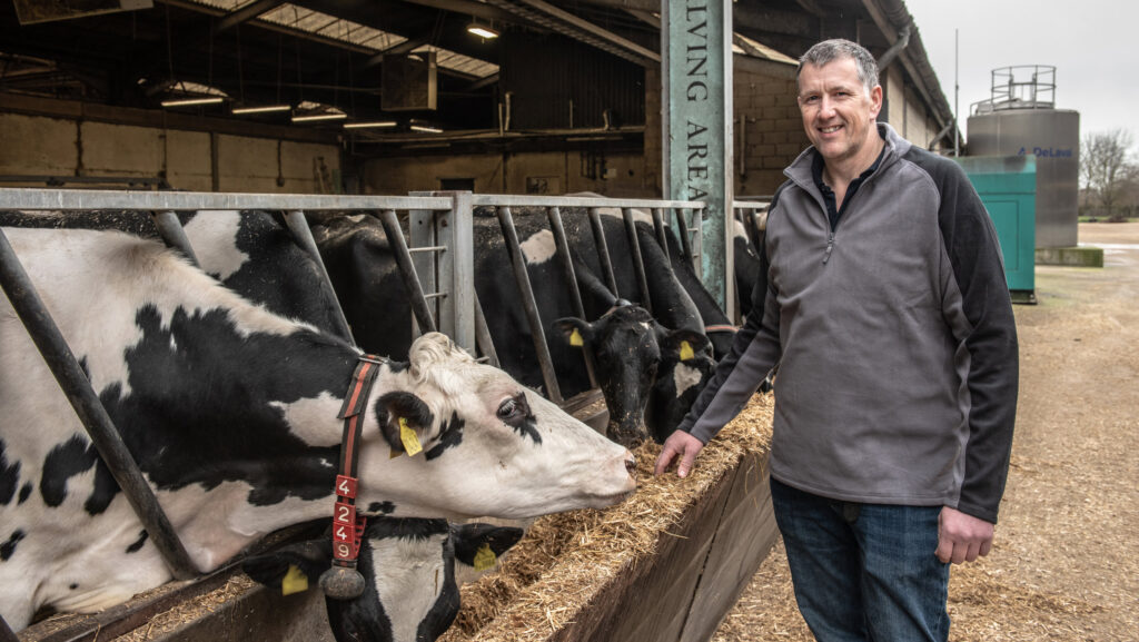 Transition Live host farmer Paul Kelly with cows eating silage
