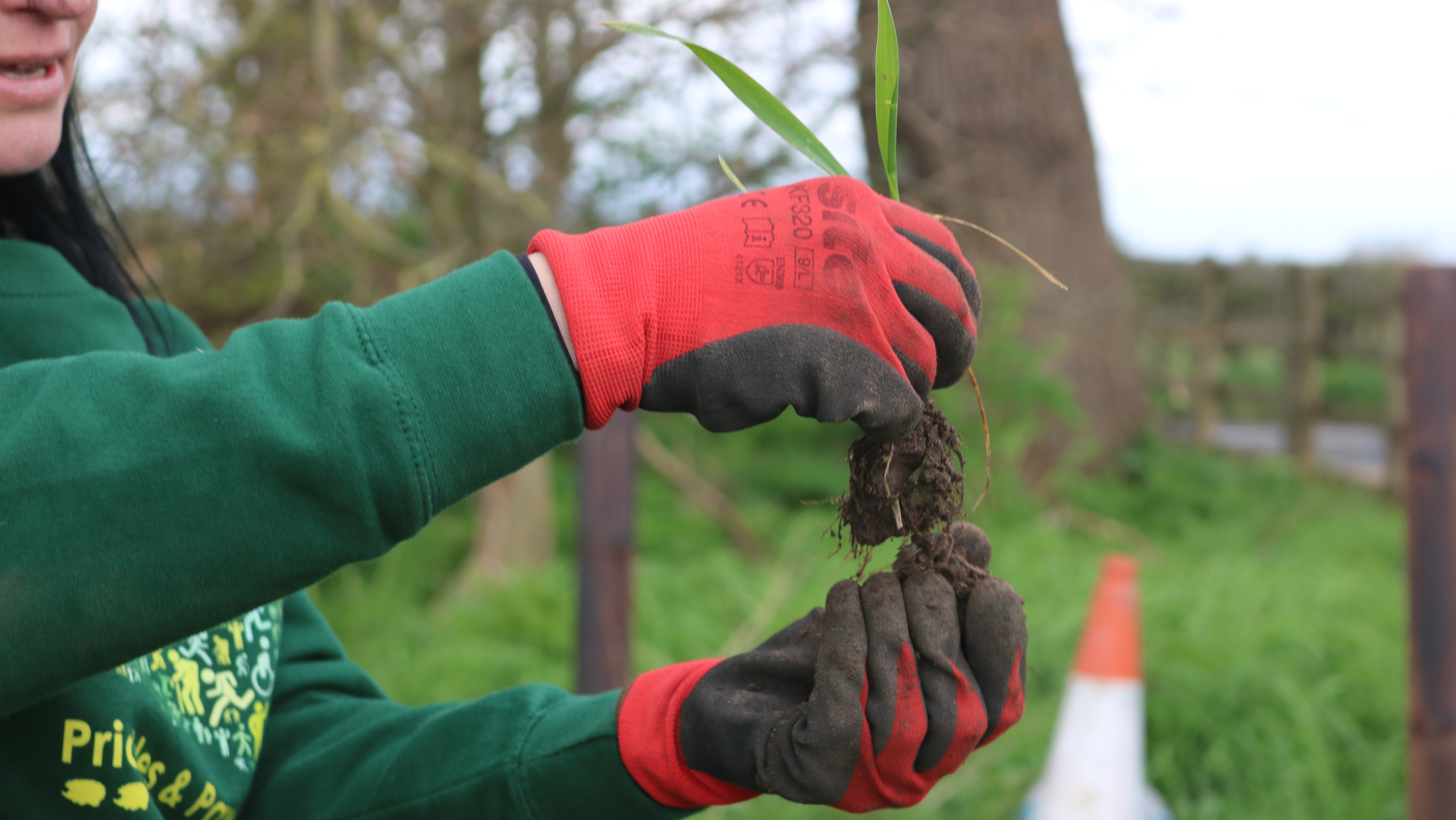 Farm project explores soil microbiome and nutrient use efficiency - Vimarsana News