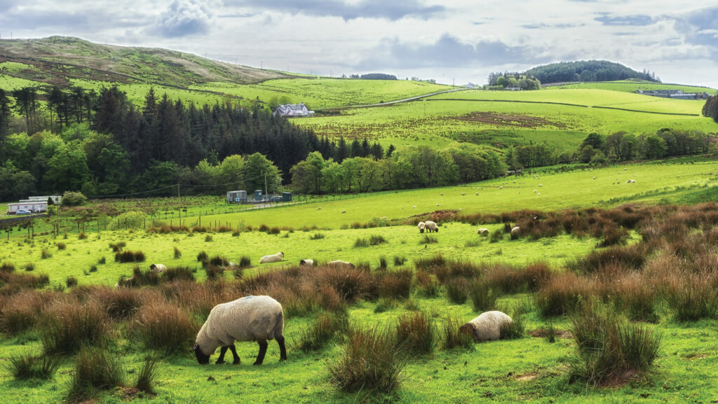 Landmark Scottish agriculture bill signed into law - Farmers Weekly