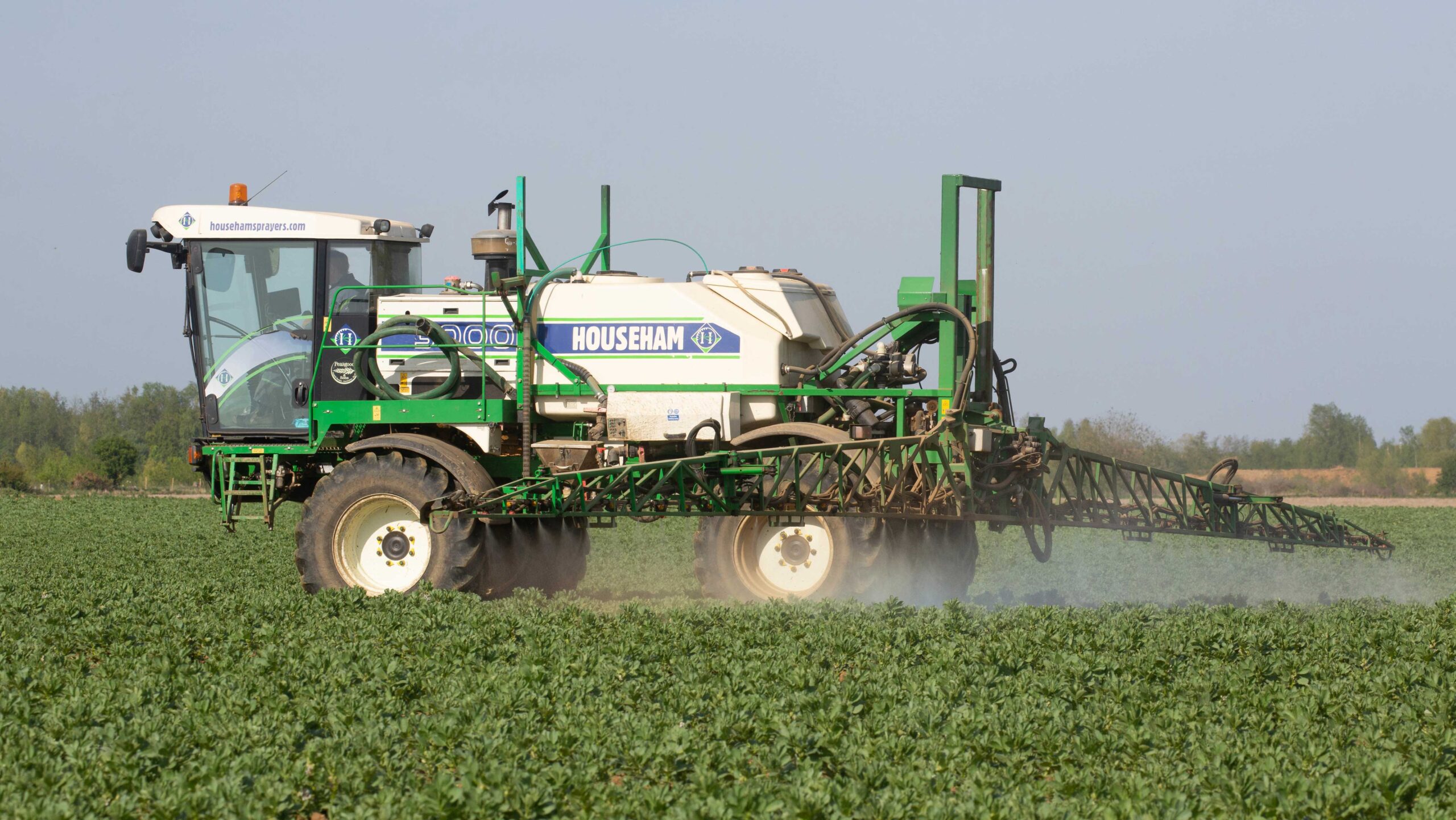 Crop Watch: Brown rust alert in wheat and bean fungicides - Vimarsana News