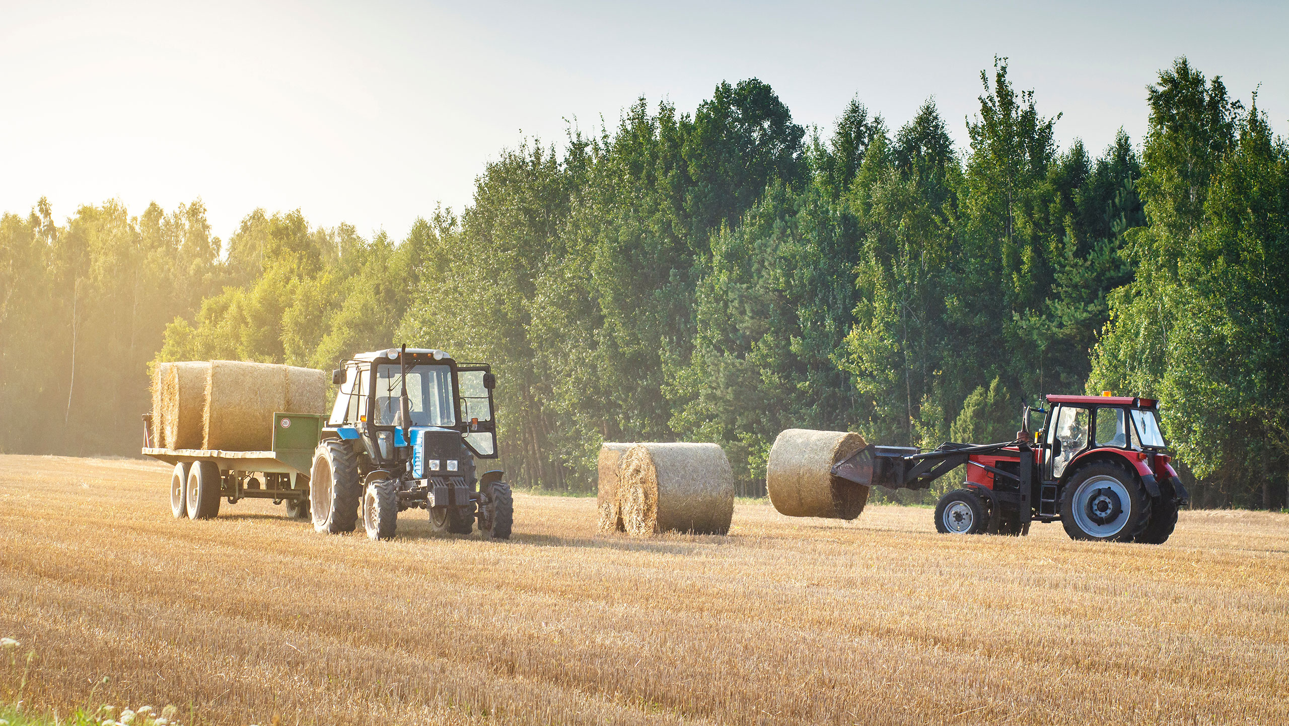 Editor's View: In praise of average farmers - Vimarsana News