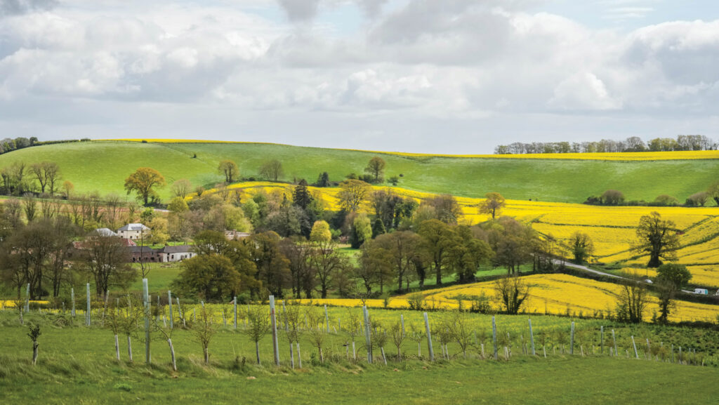 English countryside