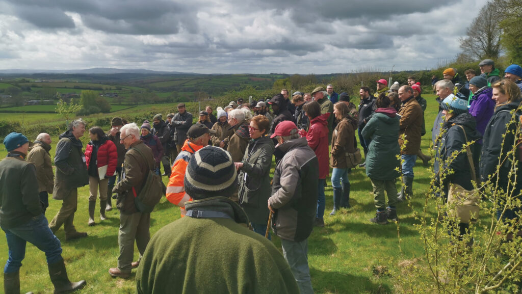 Crowd gathered on a field