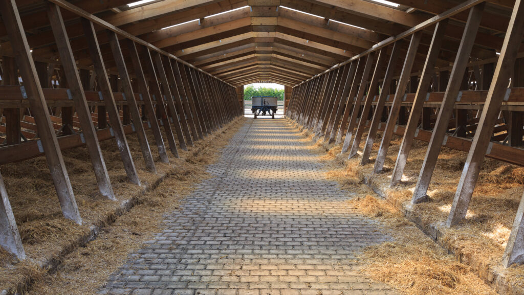 Wooden cow kennels