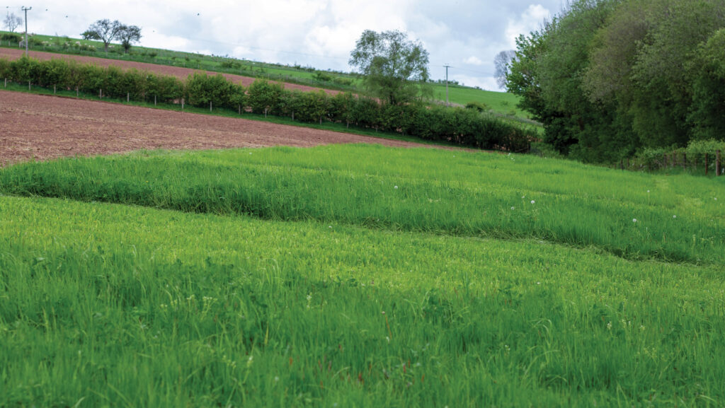 Buffer zone plots