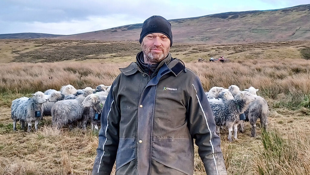Ian Bell with his sheep flock