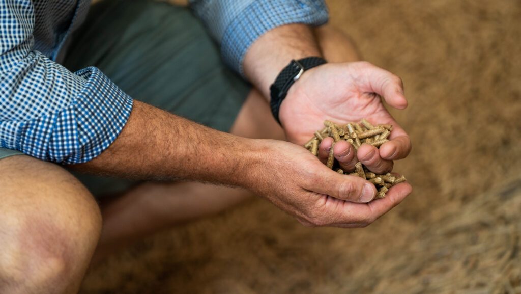 Hands holding pellets