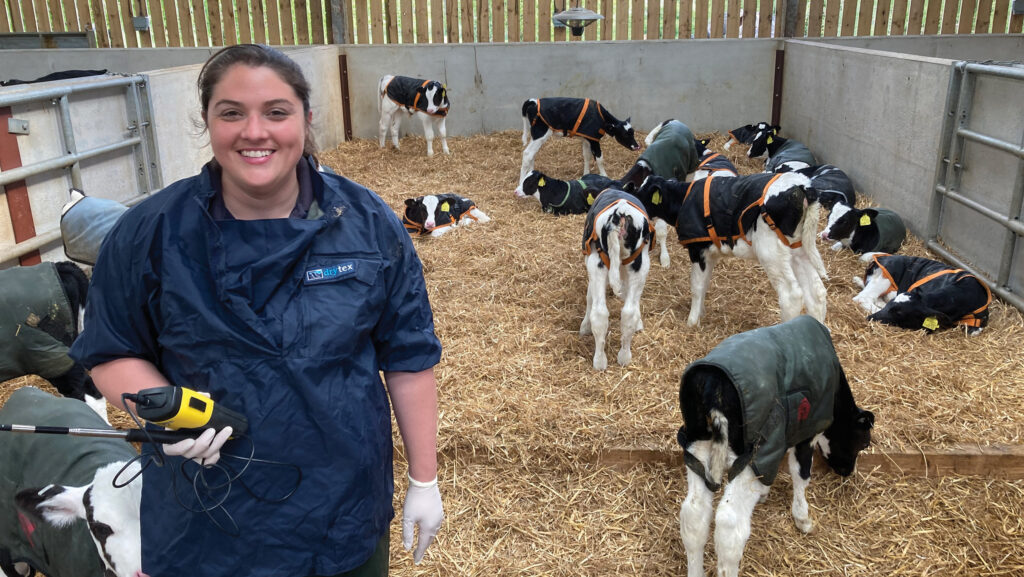 Vet Kat Hart in a pen with calves