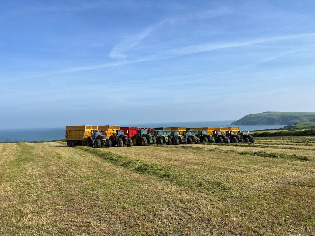 Line of silages next to Pembrokeshire coast