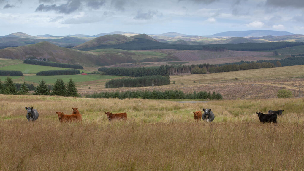 Farmland in the Scottish Borders 
©Tim Scrivener 