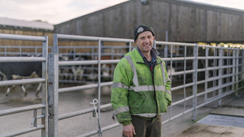 Chris Knowles with dairy cows