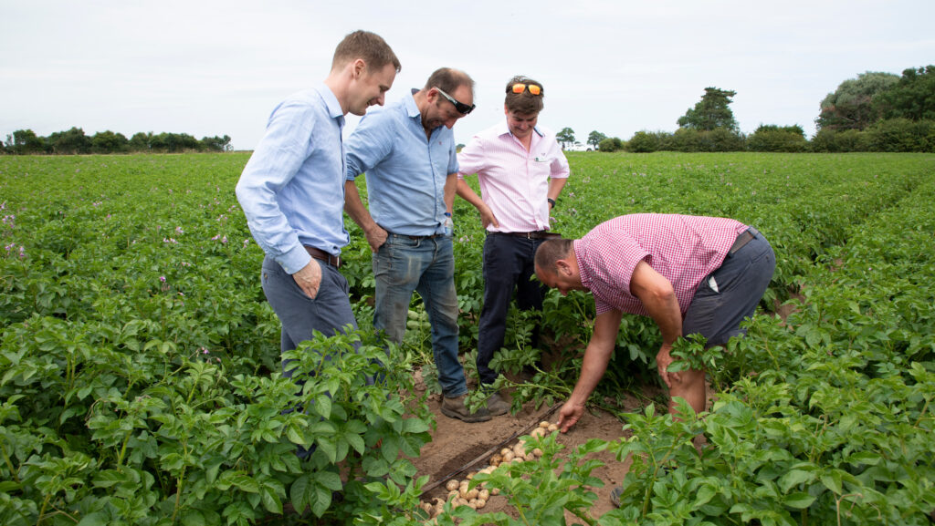 On-farm events help farmers
share ideas and experiences © GNP