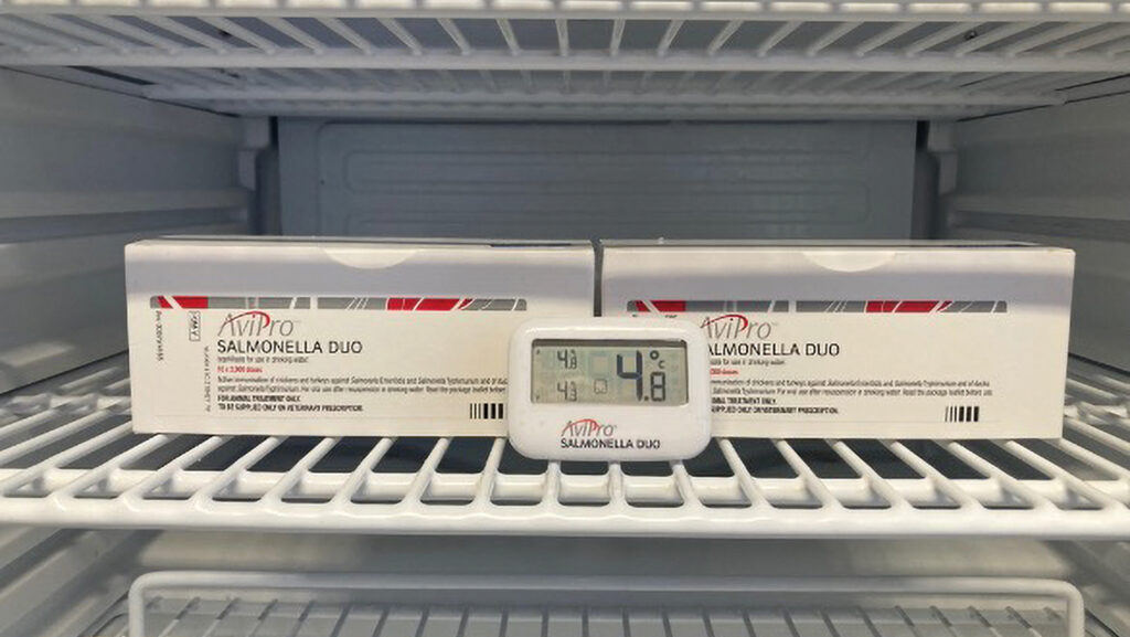 Boxes of vaccine on a fridge shelf