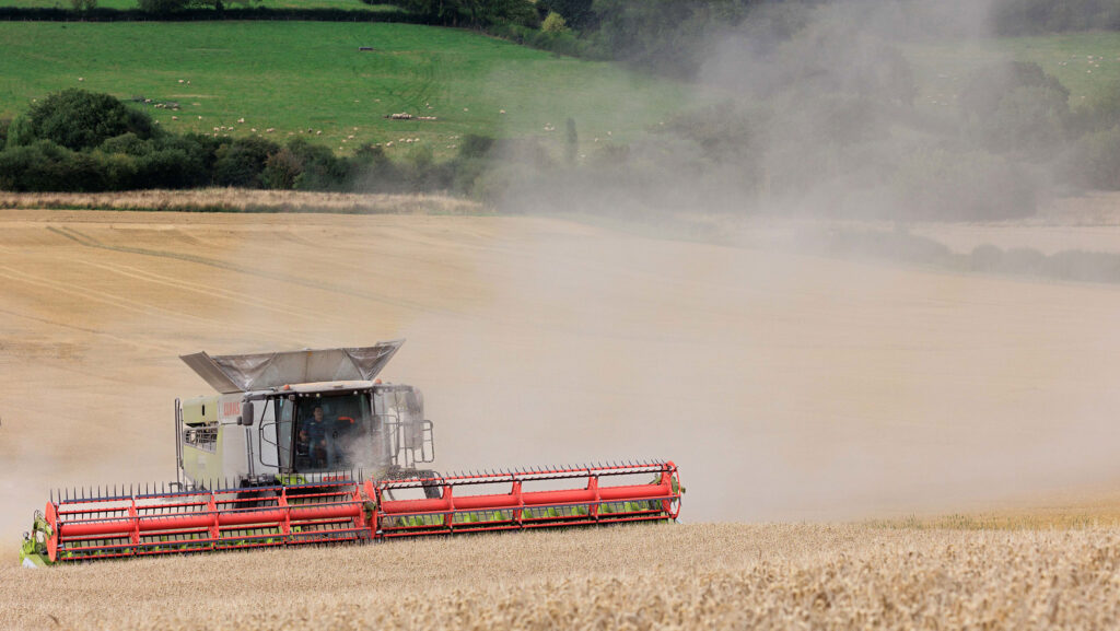 Wheat being harvested in the UK © Tim Scrivener