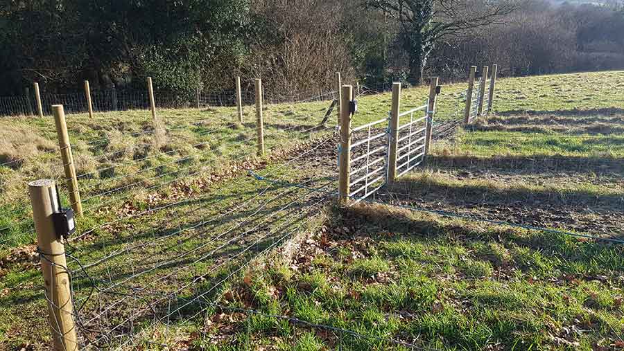 LoRaWAN sensors mounted on fenceposts