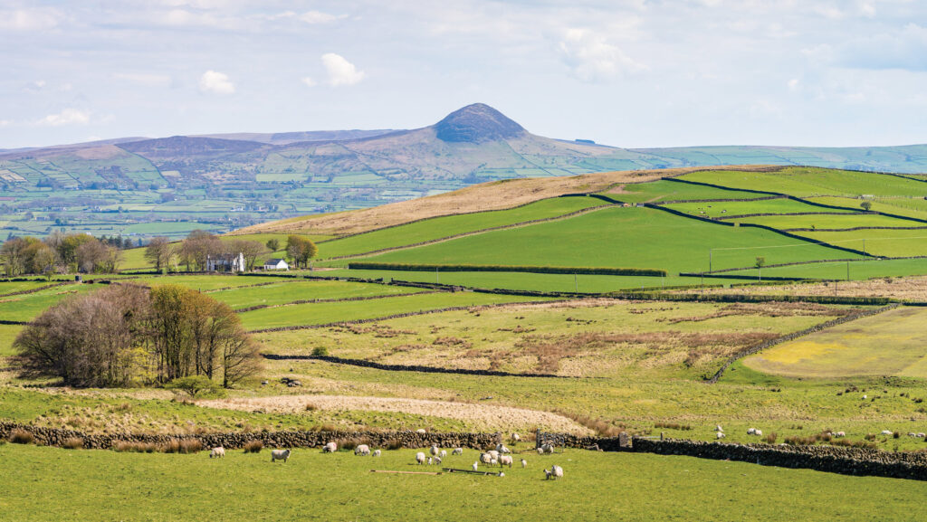 Panoramic scenery over the braid valley and County Antrim hills, Northern Ireland, with Slemish mountain in the distance, on a sunny day with clouds in the sky, and sheep in the foreground, and lots of old stone walls separating the fields