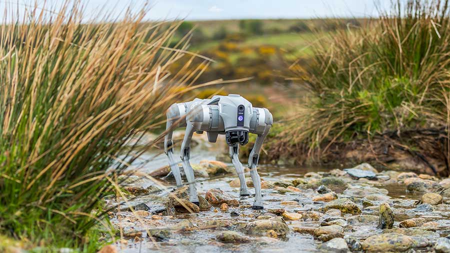 Robot dog fitted with LiDAR sensors