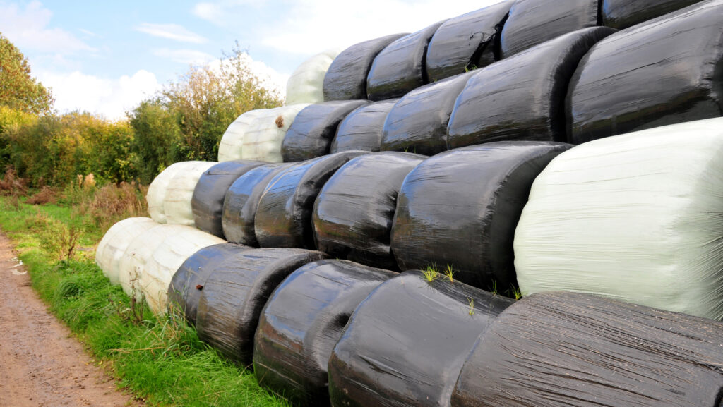 silage bales