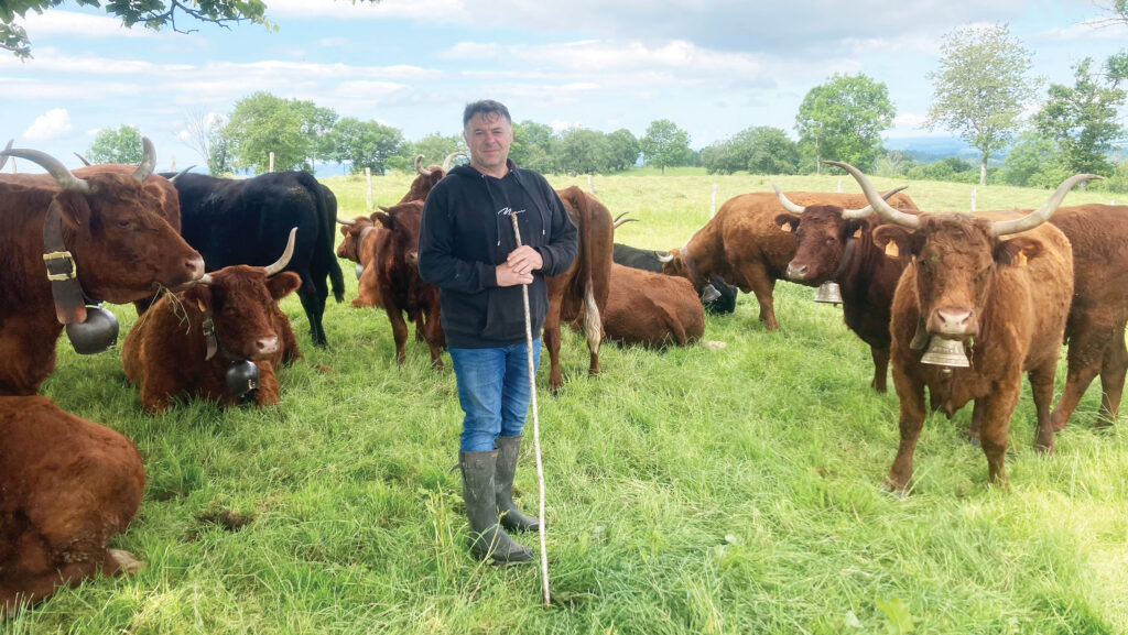 Lionel Duffayet with cows