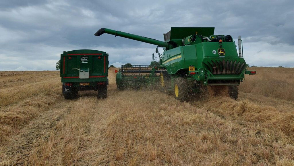 Charlie Binley harvest of oilseed rape