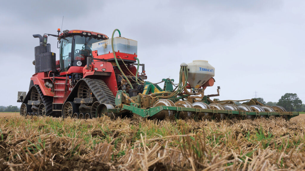 drilling oilseed rape