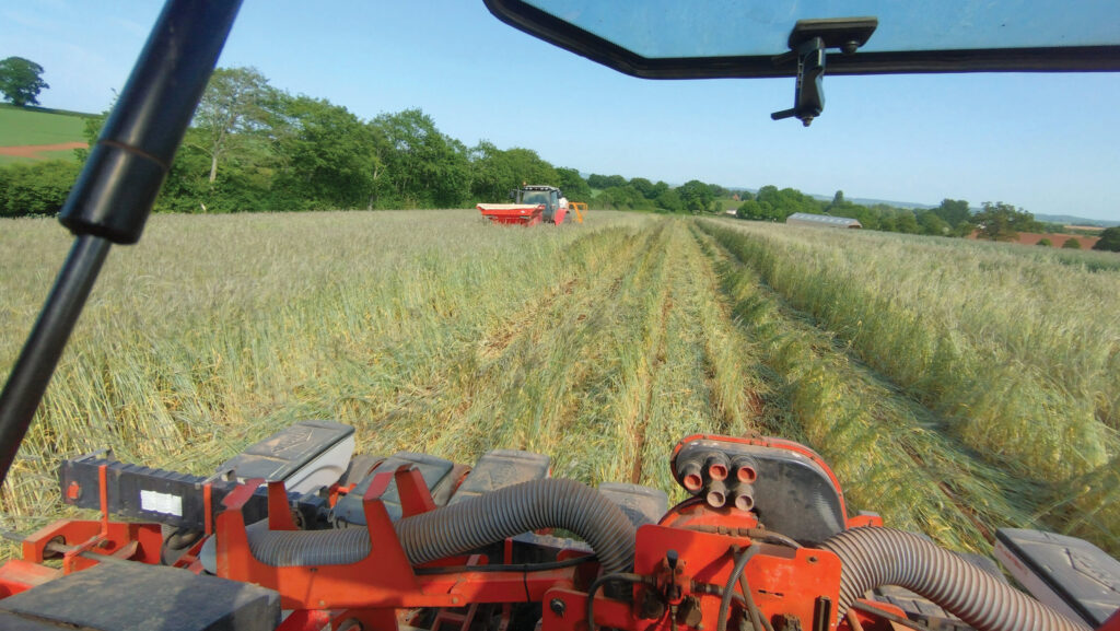 Drilling pumpkins