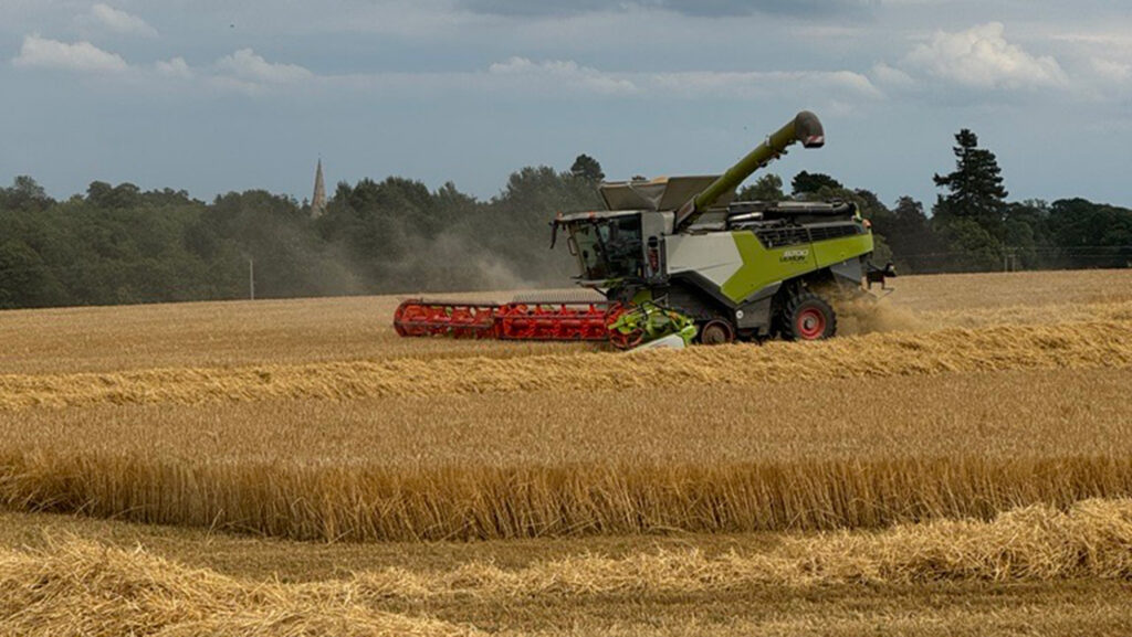 Combine harvesting barley on Dyson farm