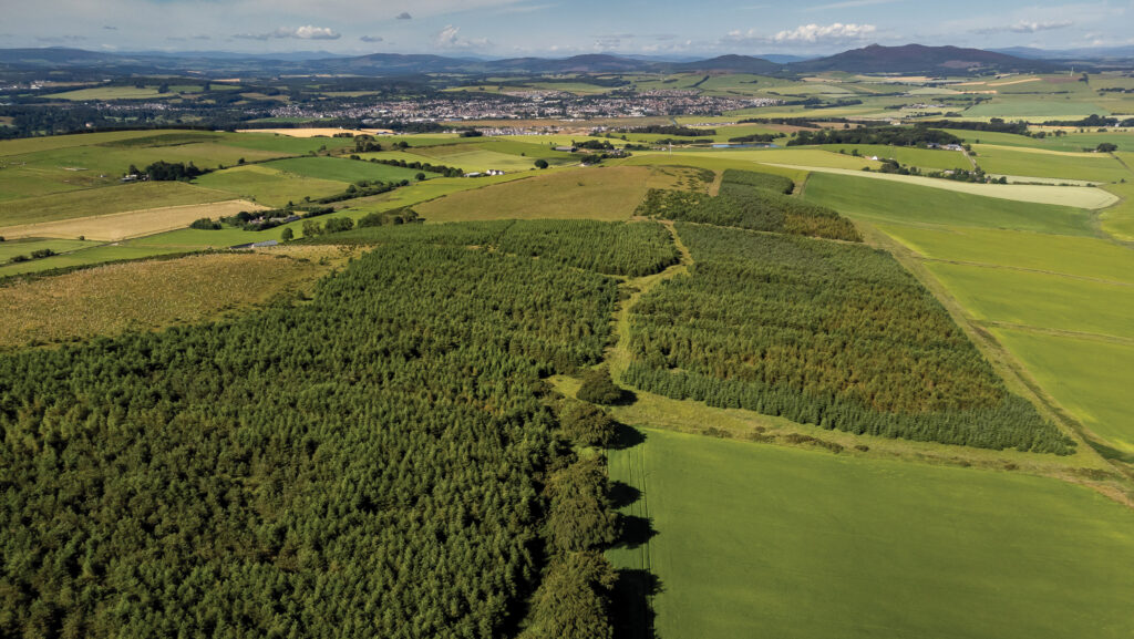 Lawel Hill Wood