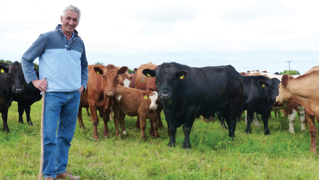 Mike Roberts with cattle