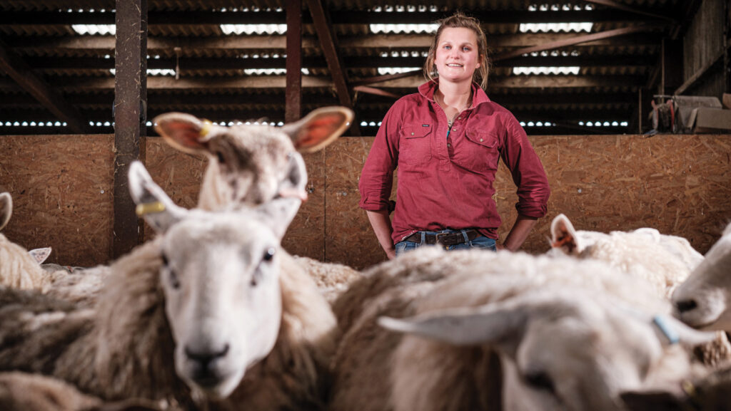 Rachel Murdoch, 2024 Sheep Farmer of the Year finalist