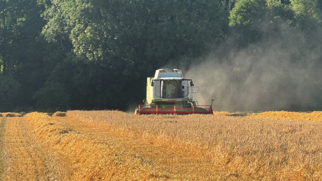 Rupert Hoare's winter barley harvest © Rupert Hoare