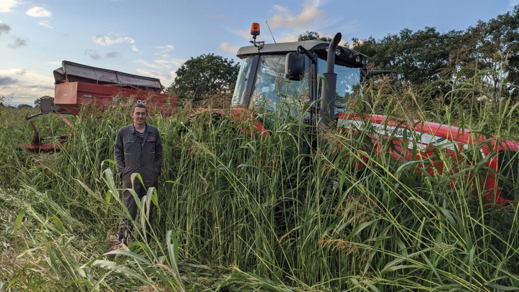 Tractor and Charlie Quick in Sudan grass