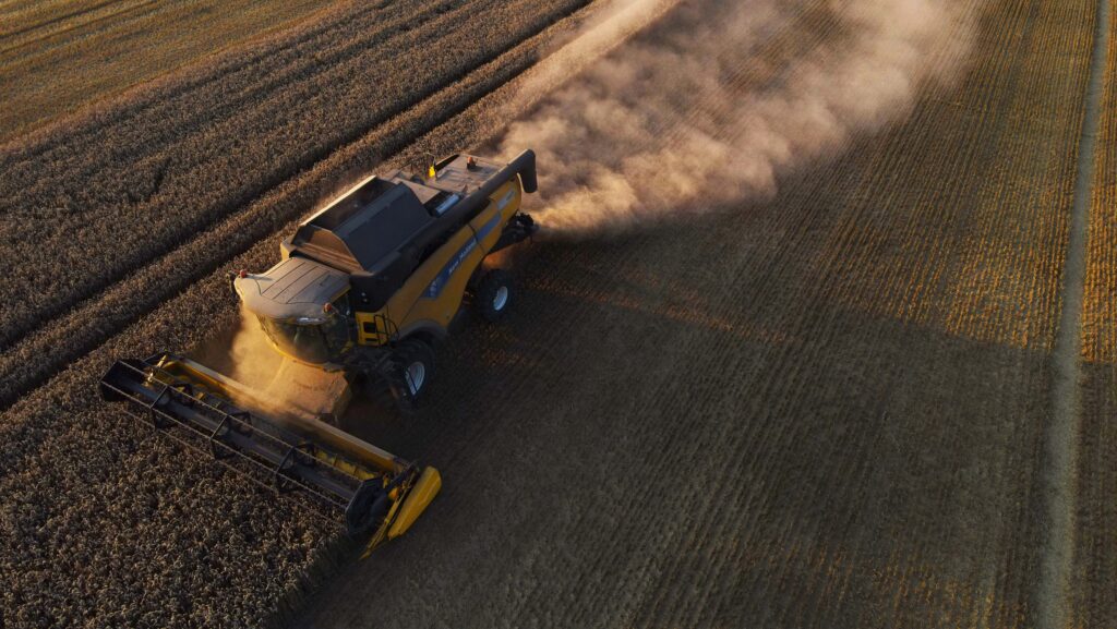 Combine harvester in the field harvesting wheat